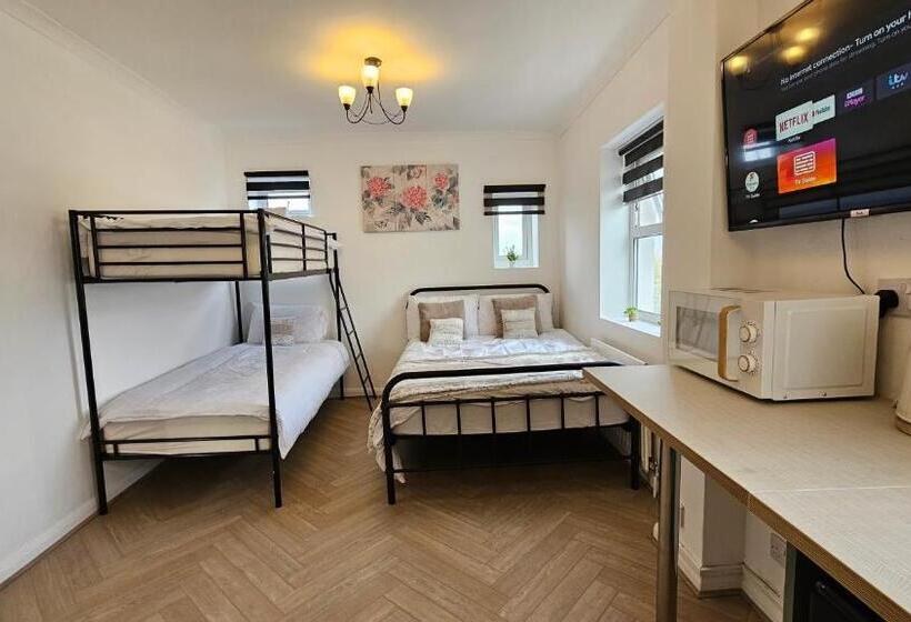 Fotos del hotel New Dome:  45