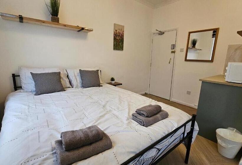 Fotos del hotel New Dome:  59