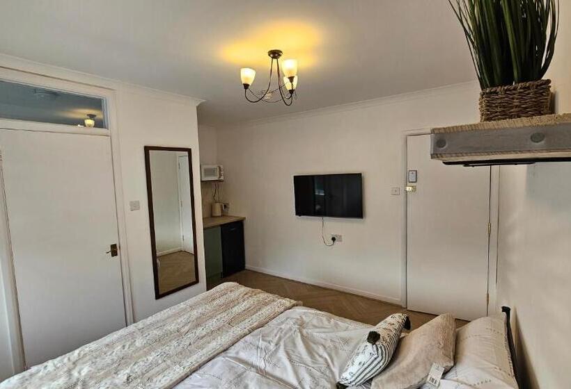 Fotos del hotel New Dome:  44