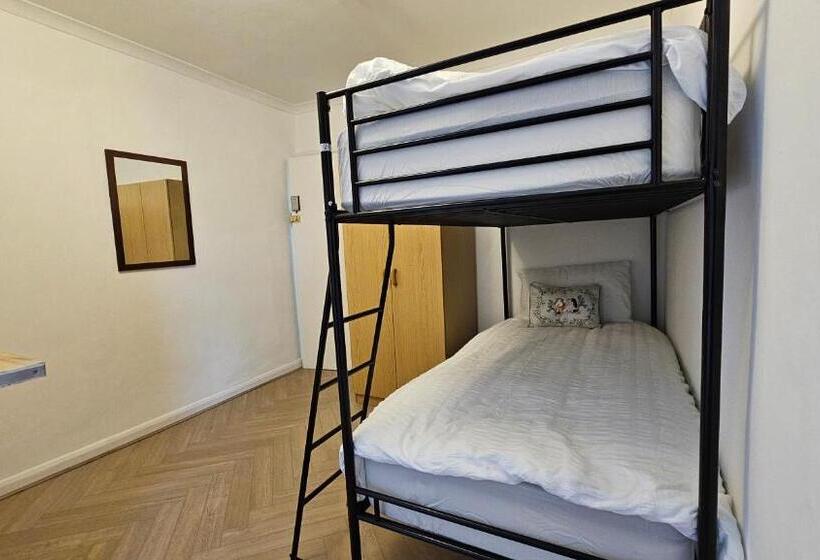 Fotos del hotel New Dome:  30