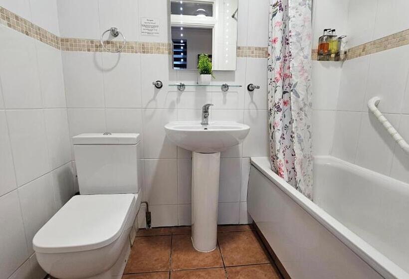 Fotos del hotel New Dome:  33