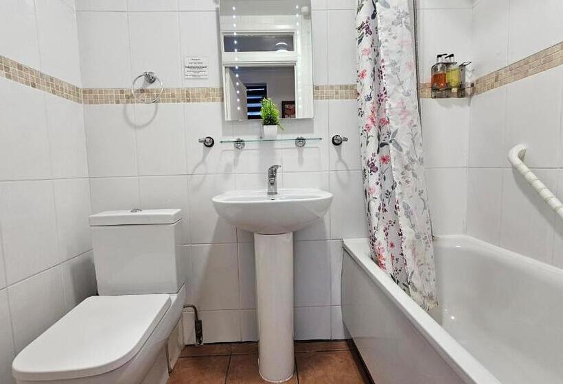 Fotos del hotel New Dome:  31