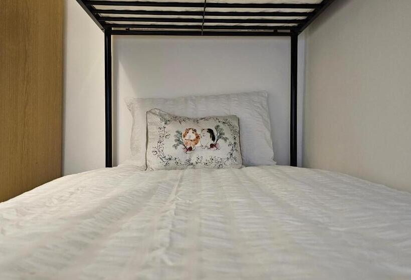 Fotos del hotel New Dome:  39