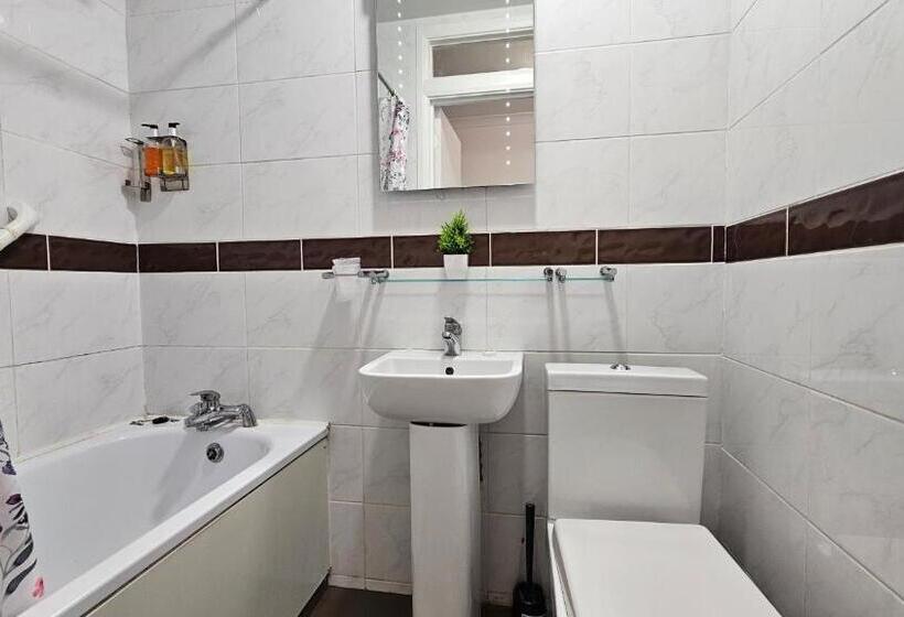 Fotos del hotel New Dome:  38