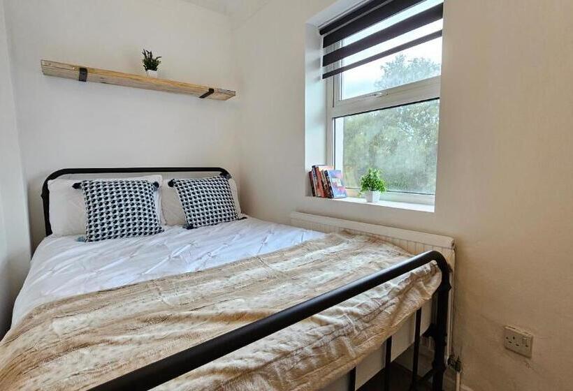 Fotos del hotel New Dome:  25