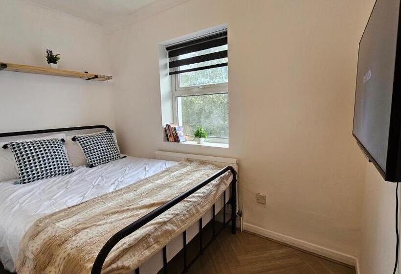 Fotos del hotel New Dome:  15