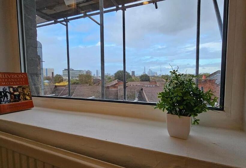 Fotos del hotel New Dome:  12