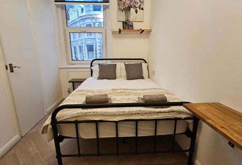 Fotos del hotel New Dome:  3