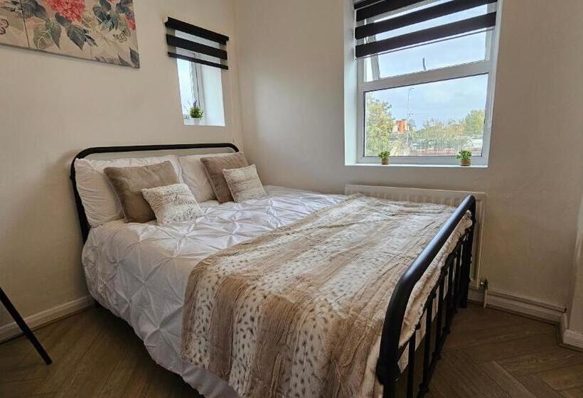 Fotos del hotel New Dome:  24