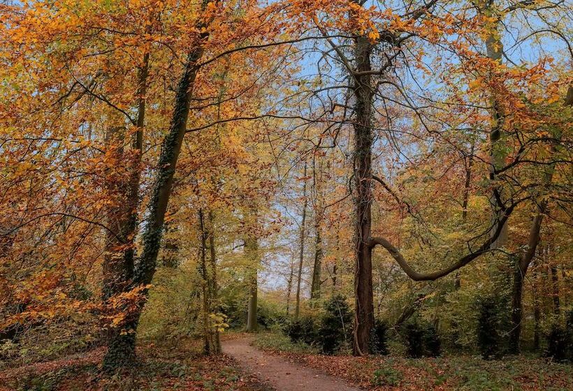 هتل Stayokay Hostel Utrecht   Bunnik