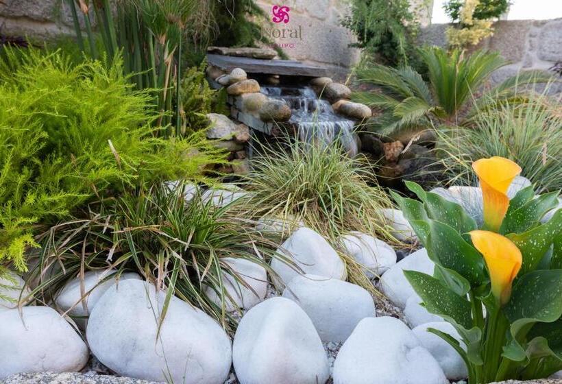 پانسیون Nuevo Norat Sanxenxo