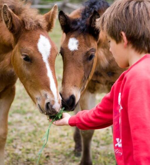 הוסטל L Orri Del Pallars