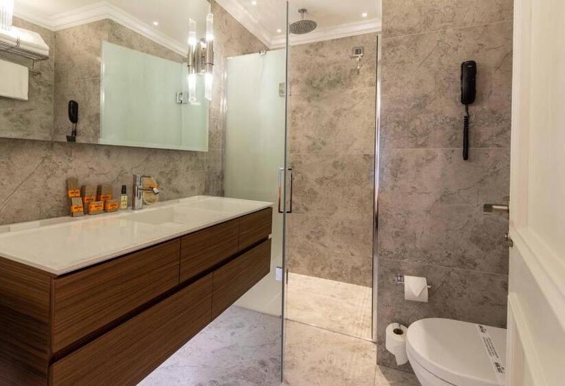 Fotos del hotel Amiral Palace:  14