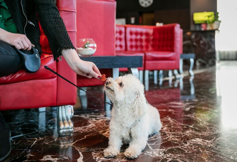 Fotos del hotel Arcotel Kaiserwasser Superior:  28