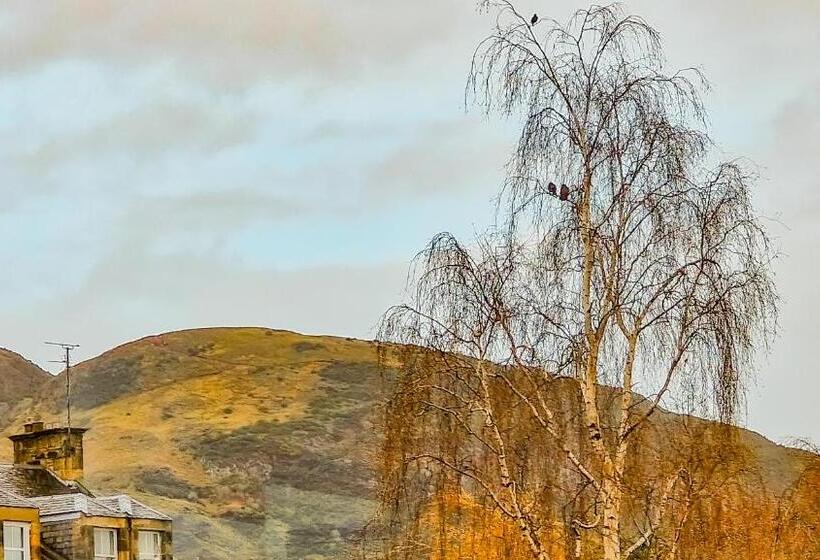 Fotos del hotel Mayfield Lodge:  27