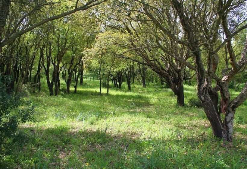 هتل Sa Rocca Sport E Resort