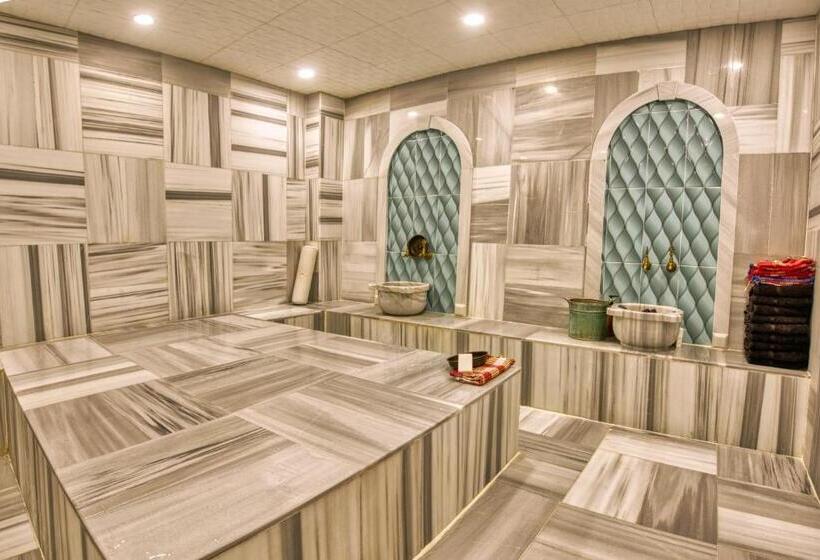 Fotos del hotel Sirkeci Ersu  & Spa:  9