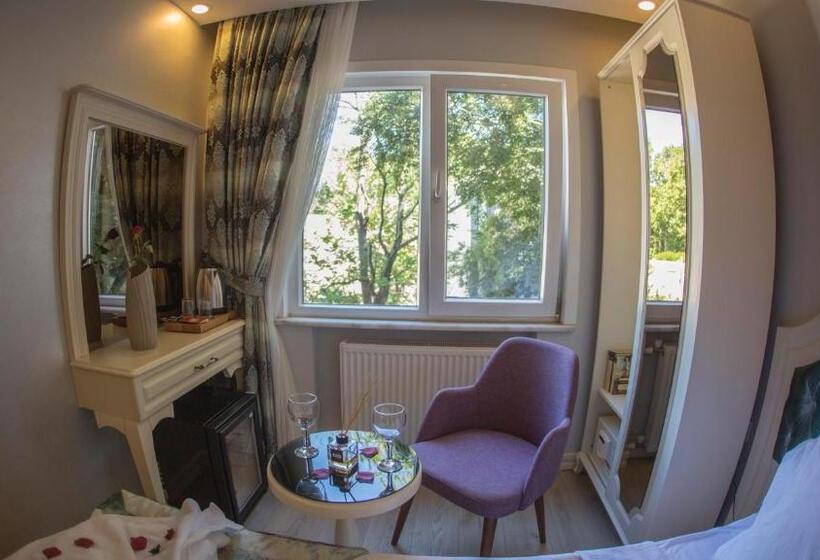 Fotos del hotel Sirkeci Ersu  & Spa:  15