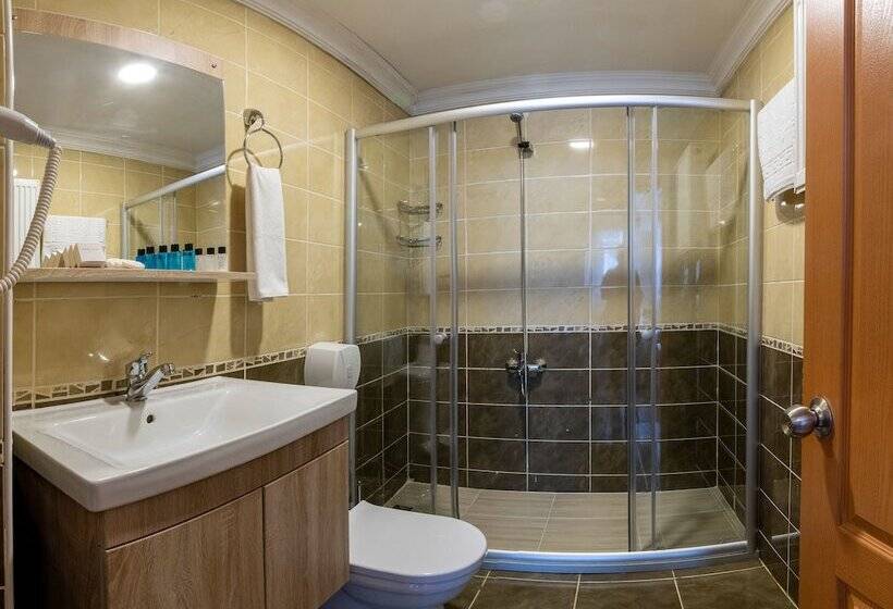 Fotos del hotel Stone Hotel Istanbul:  25