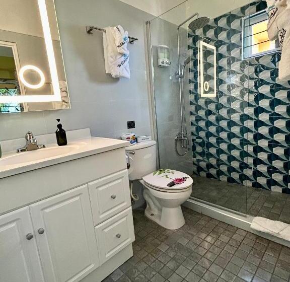The Blue Orchid B&b