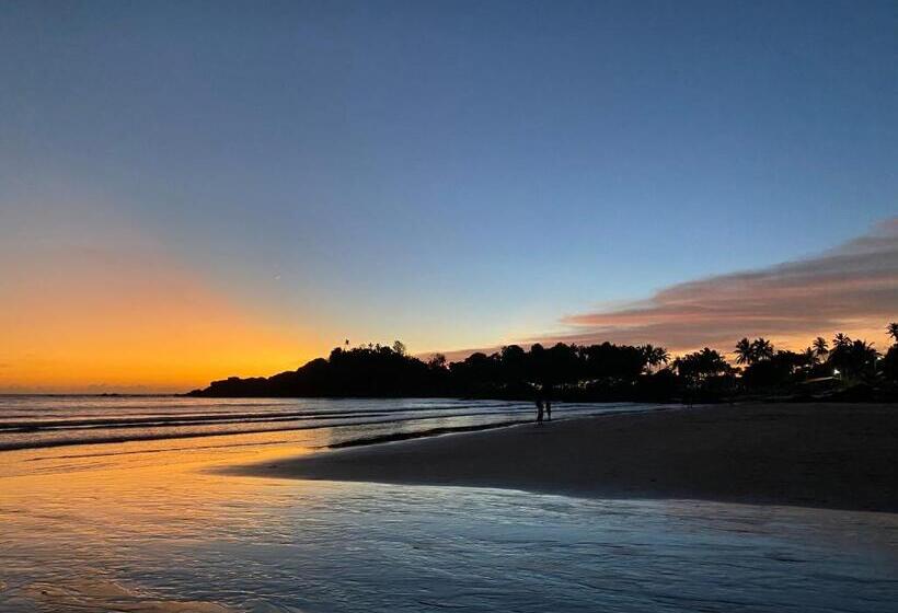 בית מלון כפרי Hare S Bar And Restaurant