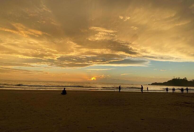 בית מלון כפרי Hare S Bar And Restaurant