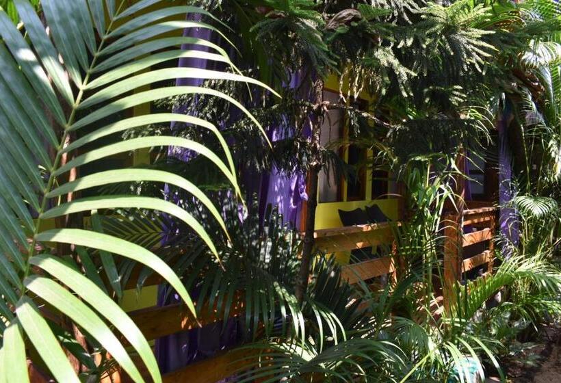 בית מלון כפרי Hare S Bar And Restaurant