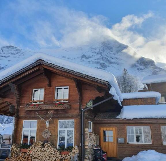 酒店 Jägerstübli Grindelwald