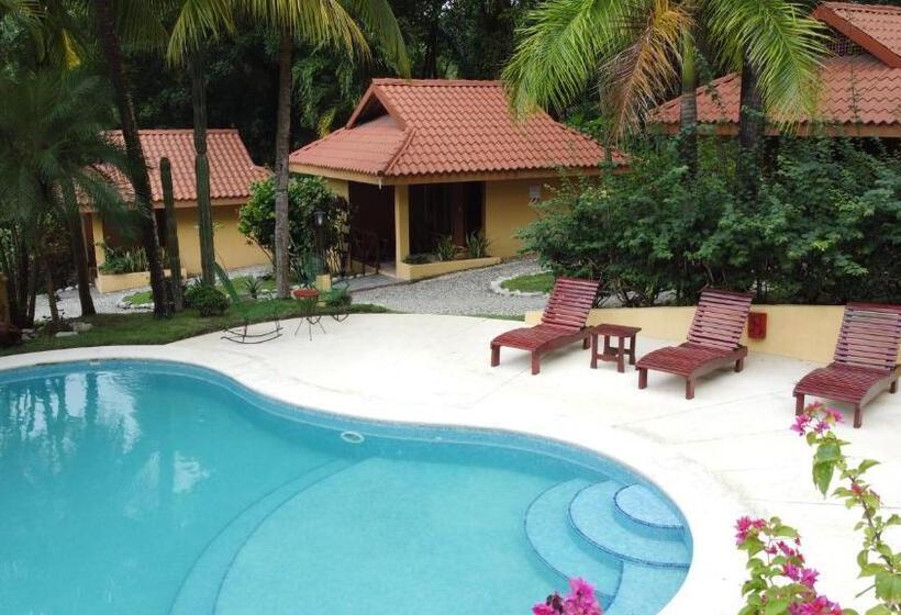 Отель Ritmo Tropical Pool And Breakfast