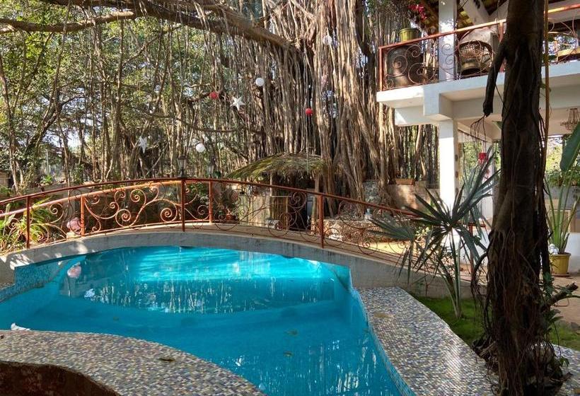 Singing Tree By Nirvana Hotels