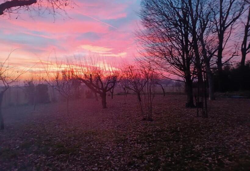 צימר La Rosa Selvatica