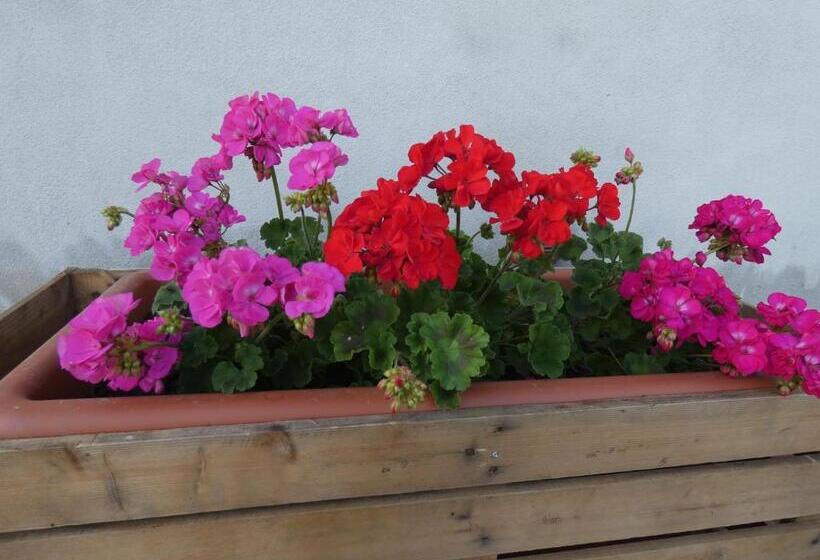 هتل Agriturismo Il Fontanile