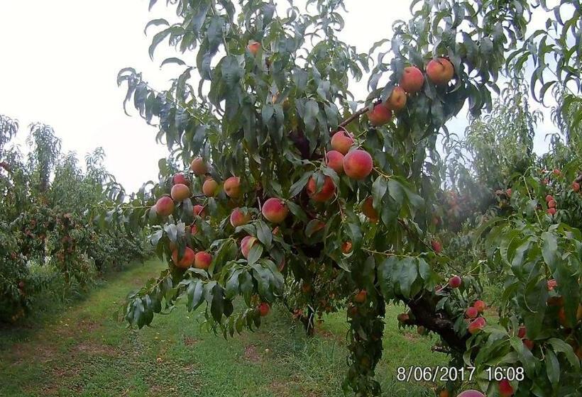 هتل Agriturismo Il Fontanile