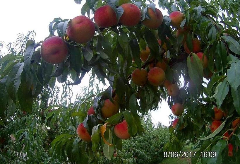 هتل Agriturismo Il Fontanile
