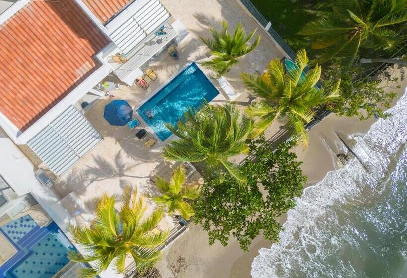 هتل Quinta Del Mar El Francés