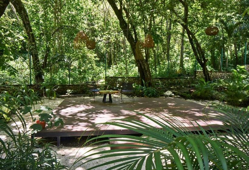 Natura Loft Garden