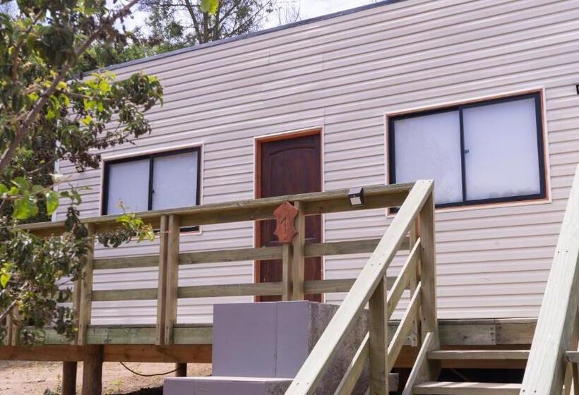 Cabañas Laguna De Zapallar Maitencillo