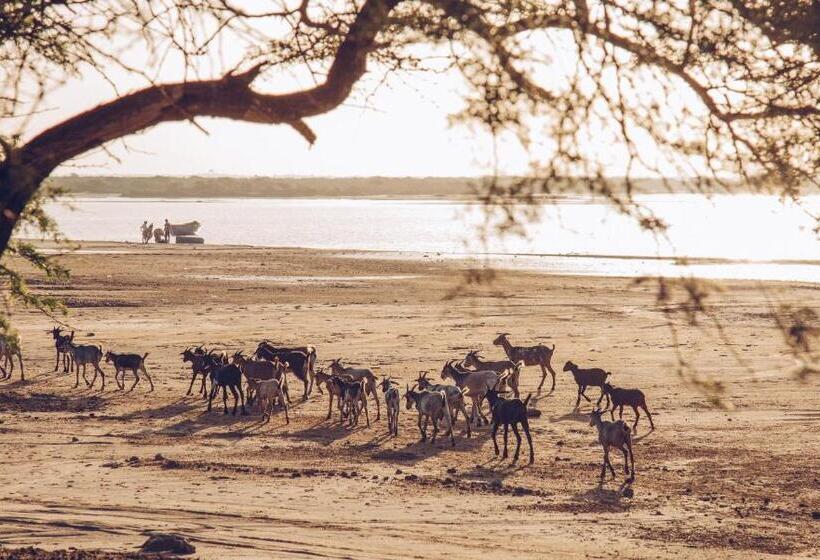 هتل Tunebo Inn
