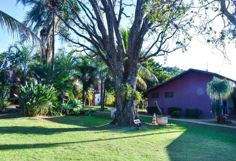 پانسیون Fazenda Haras