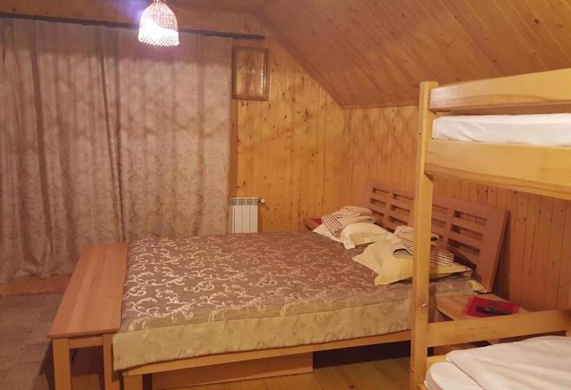 פנסיון Guest House In Carpathians