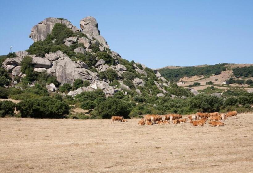پانسیون Locanda Li Manni