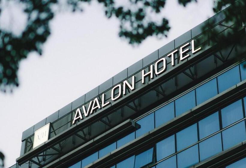 ホテル Avalon  & Conferences