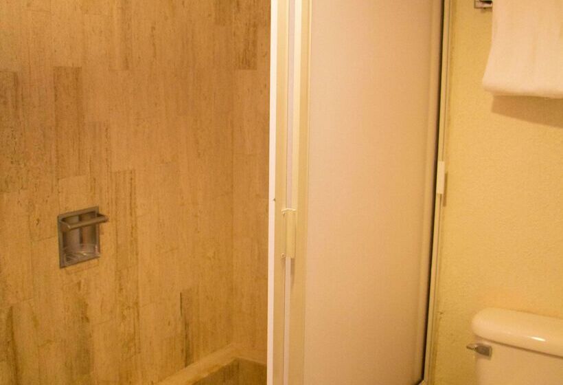 Fotos del hotel Best Western  Posada Freeman Zona Dorada:  102