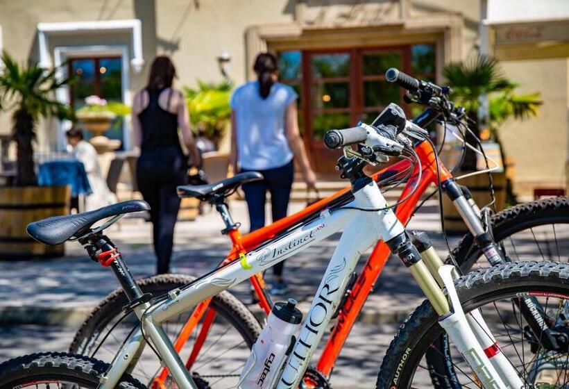 Fotos del hotel Chateau St. Havel   Wellness:  33