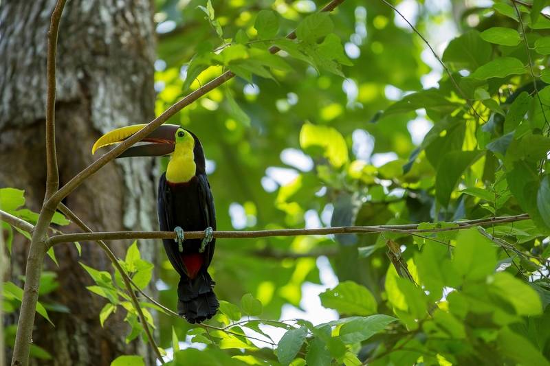 فندق Cuna Del Angel