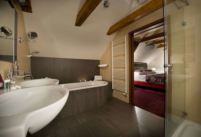 Fotos del hotel Ea Embassy Prague:  6