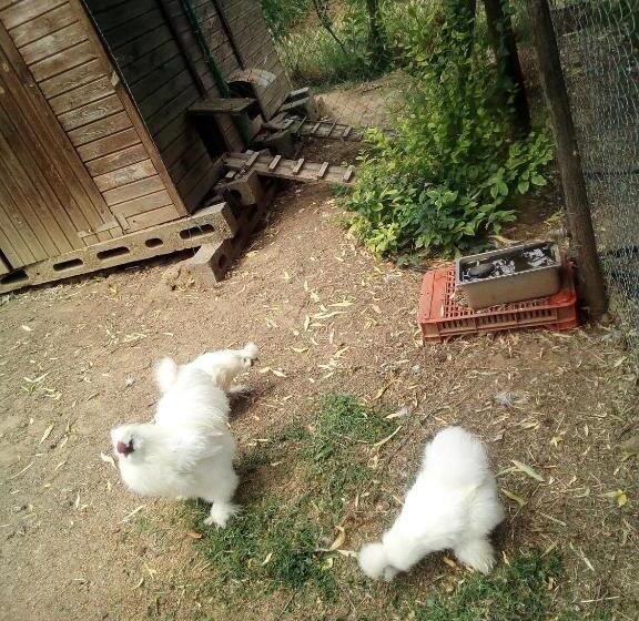 호텔 Locanda Le Mandriane