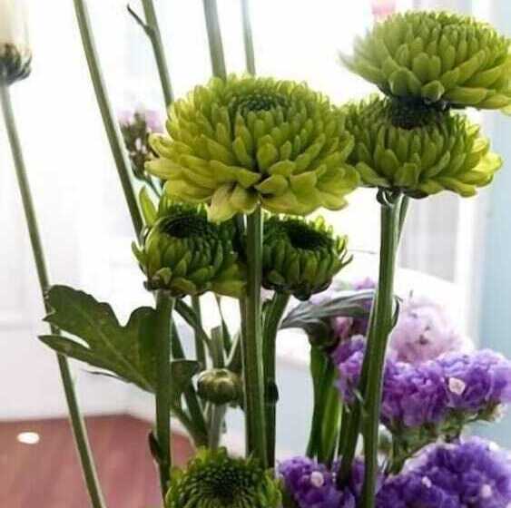 Fotos del hotel Palermo Soho Loft:  10