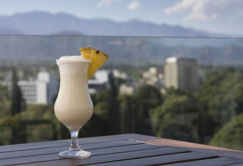 Fotos del hotel Premium Tower Suites Mendoza:  12