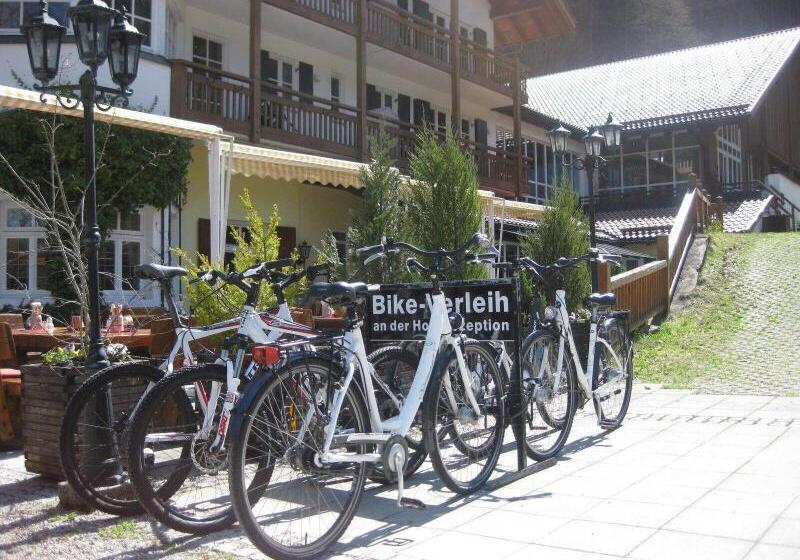 Berghotel Hammersbach